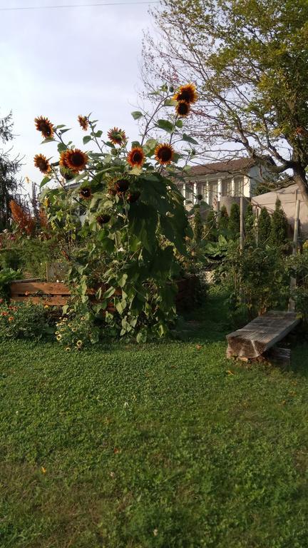 Rose-Marie'S Paradies Apartment Aesch Bagian luar foto