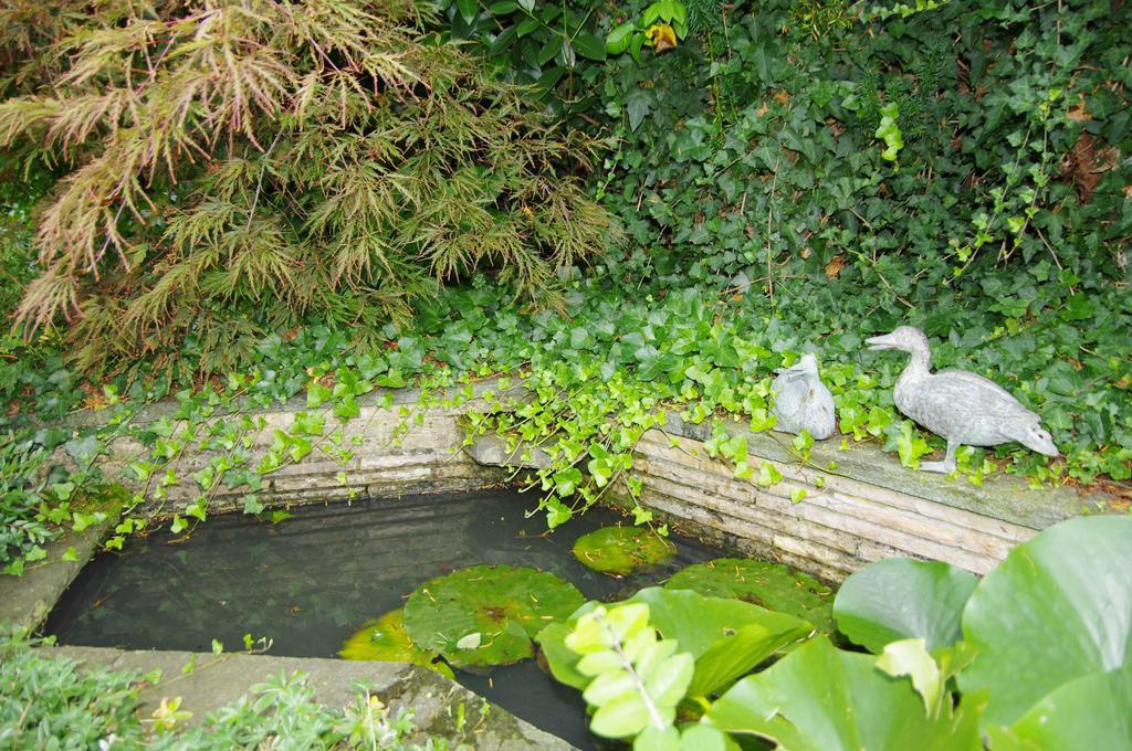 Rose-Marie'S Paradies Apartment Aesch Bagian luar foto