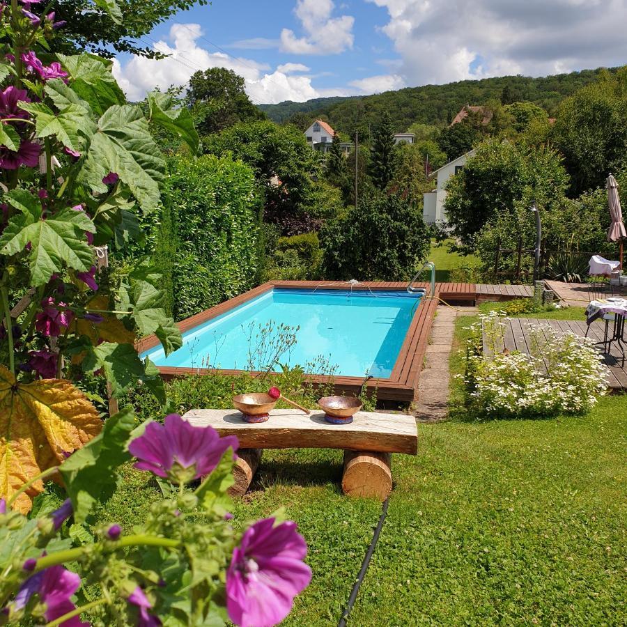 Rose-Marie'S Paradies Apartment Aesch Bagian luar foto